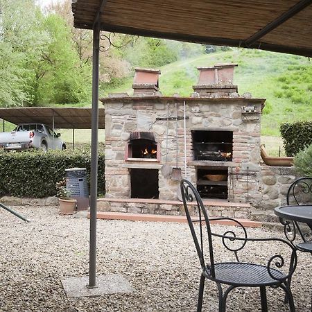 Agriturismo Le Buche Di Viesca 레겔로 외부 사진