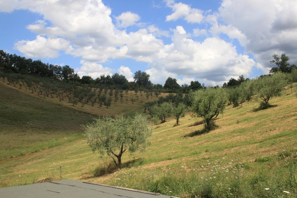 Agriturismo Le Buche Di Viesca 레겔로 외부 사진
